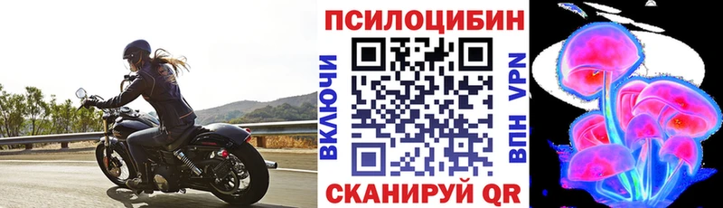 Галлюциногенные грибы Psilocybe  Пионерский 