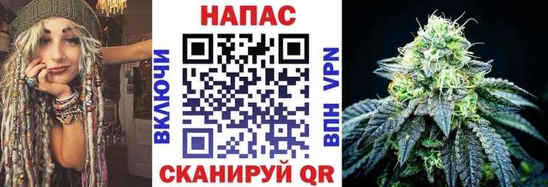 наркота  blacksprut ссылка  Бошки Шишки ГИДРОПОН  Пионерский 